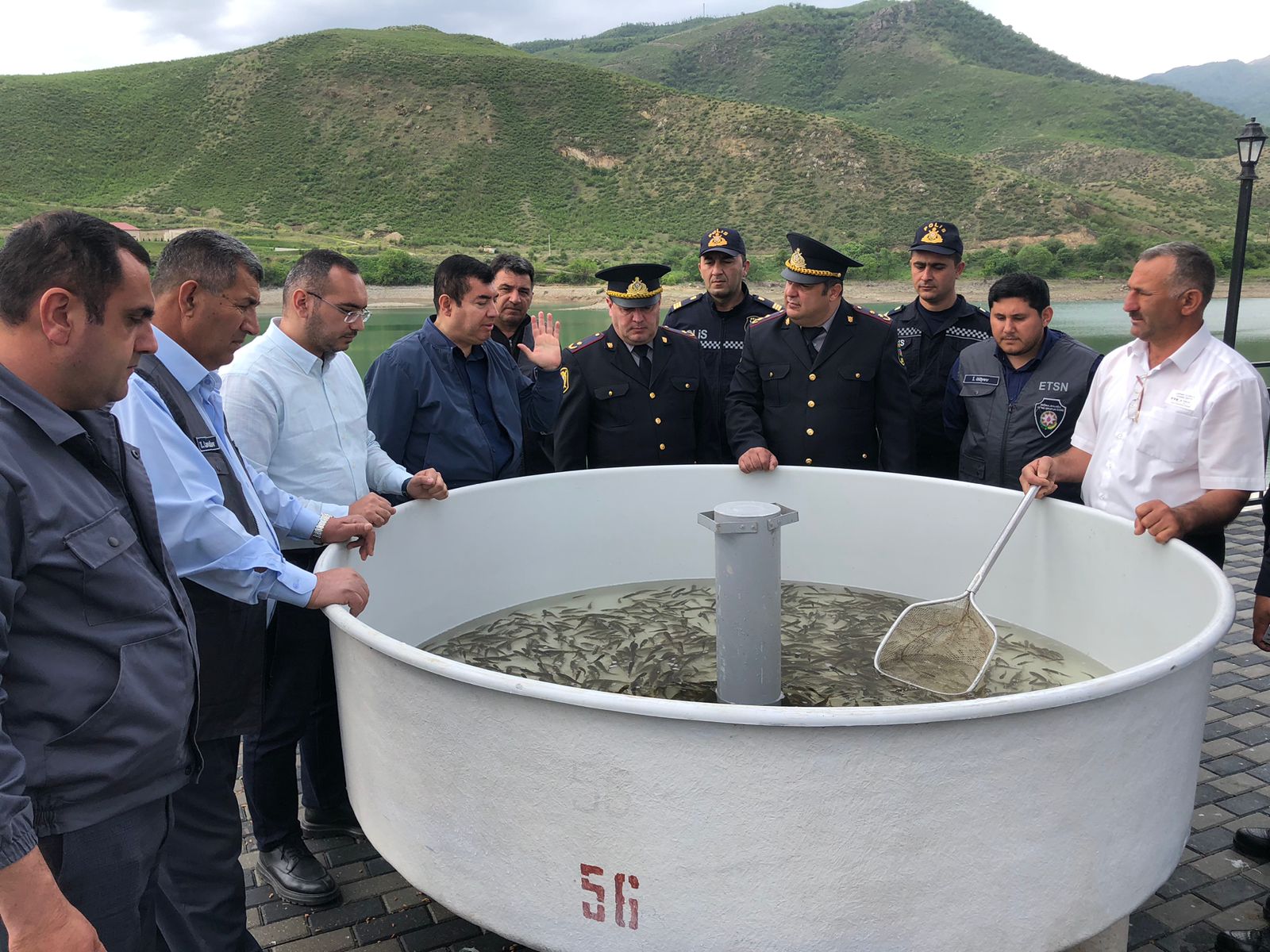 Suqovuşan su anbarına balıq körpələri buraxıldı - FOTO