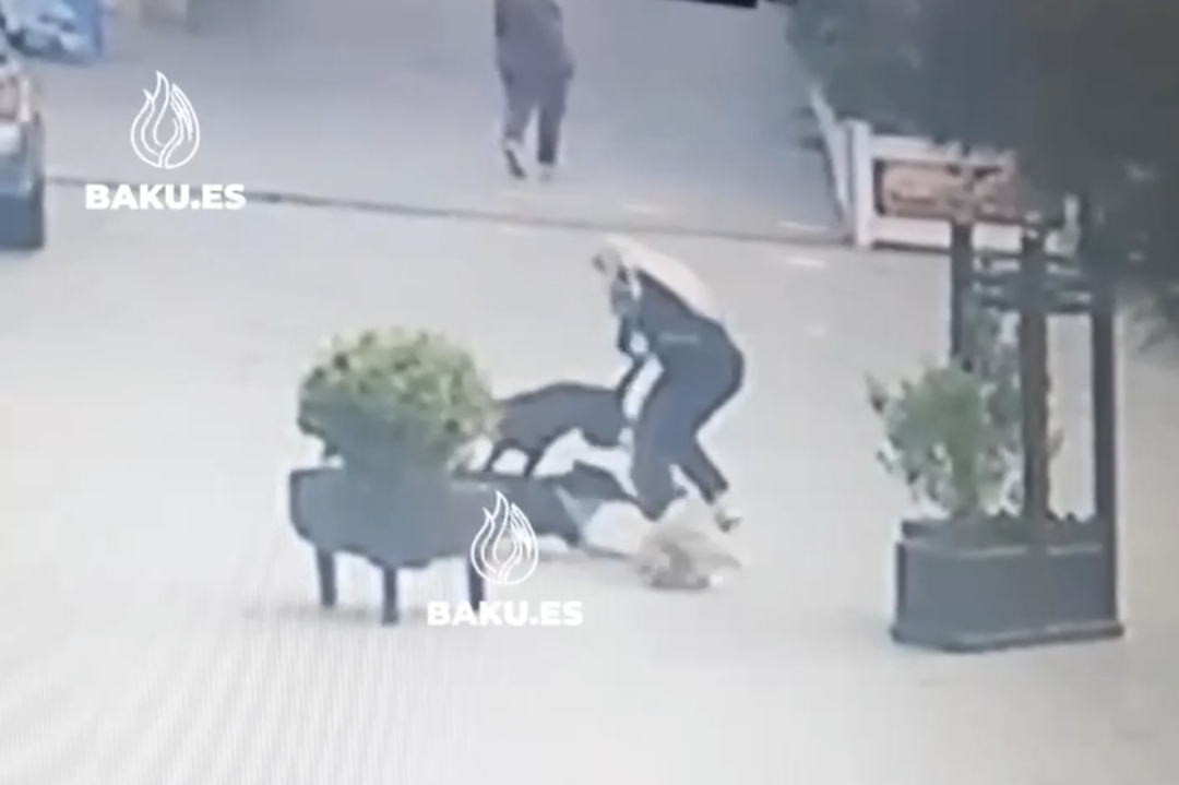Xırdalanda sahibsiz itlər qadına hücuma etdi - Anbaan görüntülər