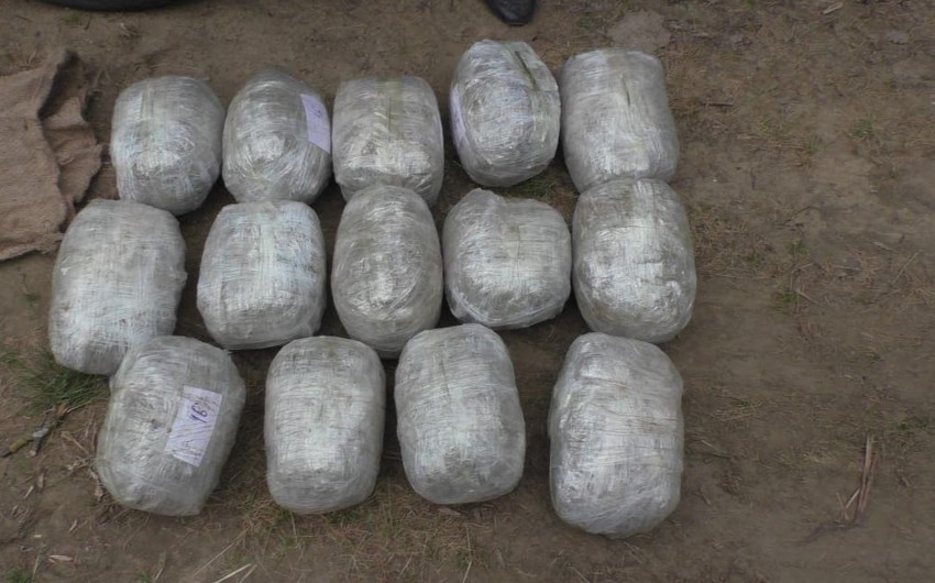Saxlanılan şəxslərdə 14 kiloqram marixuana aşkarlandı