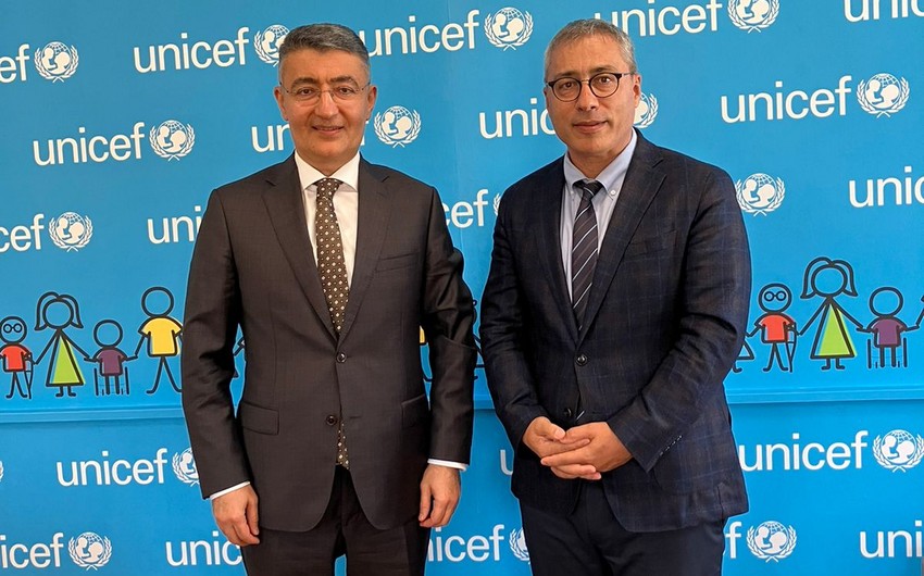 Səfir Albaniya rəsmisi ilə COP29-dan danışdı 