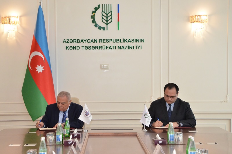 Nazirlik və Akademiya arasında memorandum imzalanıb