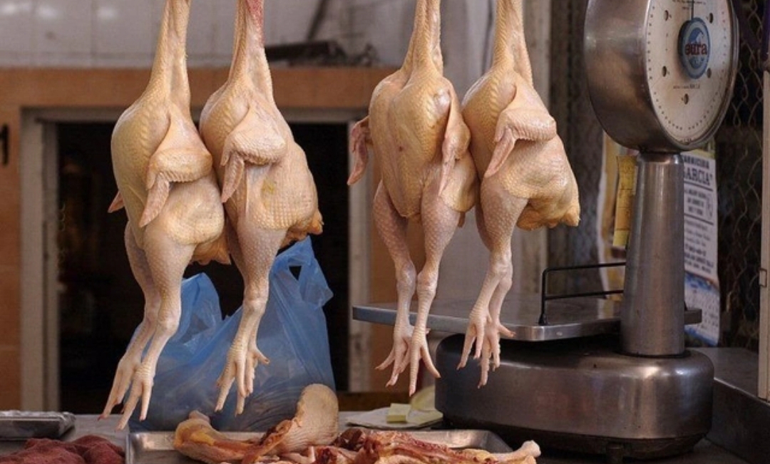 Kənd toyuğunun qiyməti ARTDI