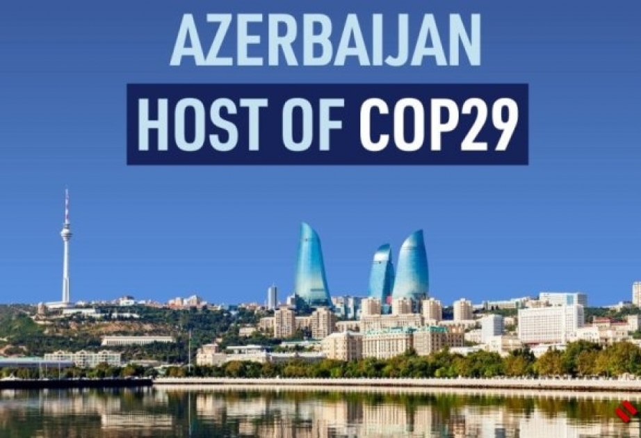 14 ölkədən QHT-lər Azərbaycanın COP29 fəaliyyətini alqışlayan bəyanat yaydı