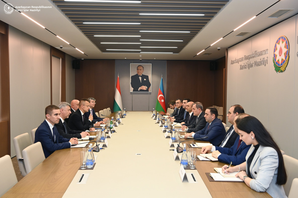 Ceyhun Bayramov macarıstanlı həmkarı ilə görüşüb