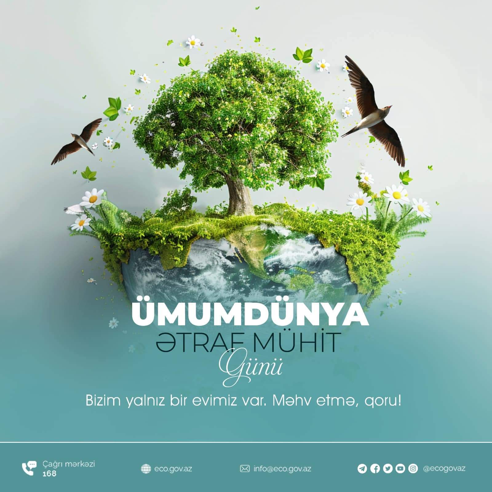 COP29-un Azərbaycanda keçirilməsi görülən işlərin ən yaxşı göstəricisidir - Ekspert