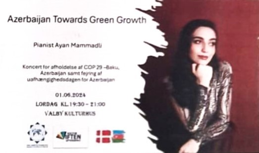 “Yurdumun gözəlliyi həzin musiqilərdə”