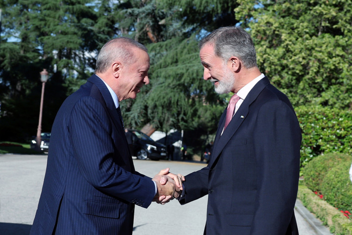 Ərdoğan İspaniya kralı ilə görüşüb - FOTO