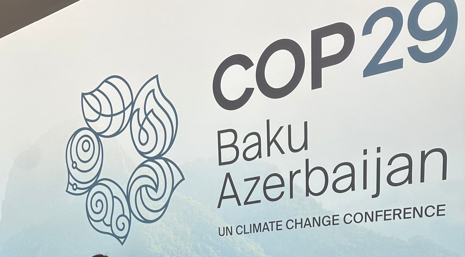 COP29-a gələn dünya liderləri Qarabağa gedəcək? - AÇIQLAMA