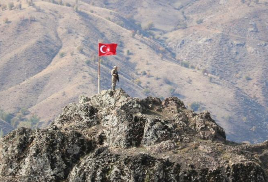 Türkiyə daha 5 terrorçunu zərərsizləşdirdi