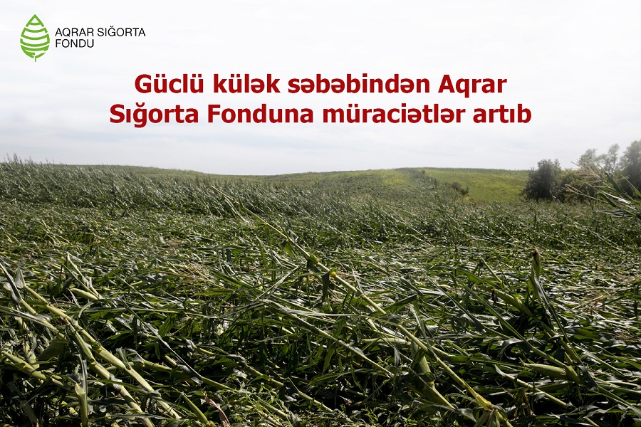 Aqrar Sığorta Fonduna müraciətlər daxil olmaqdadır