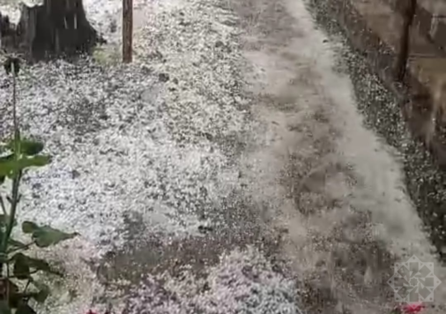 Ordubada dolu yağıb