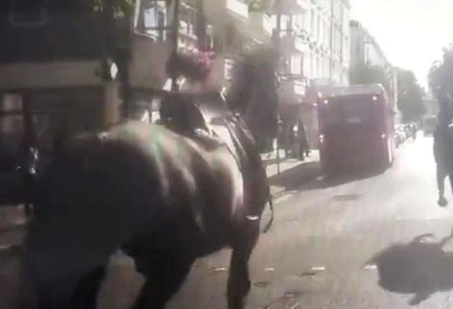 Hərbi atlar Londonda qalmaqala səbəb oldu 