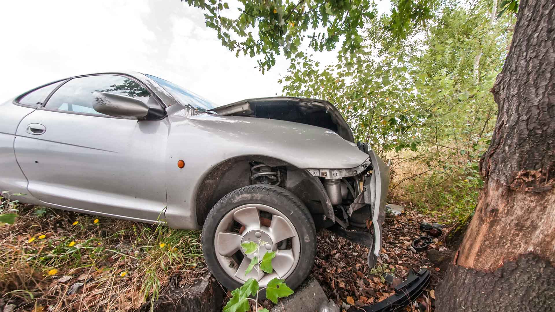 Avtomobil ağaca çırpıldı - Sürücü öldü, sərnişin yaralandı