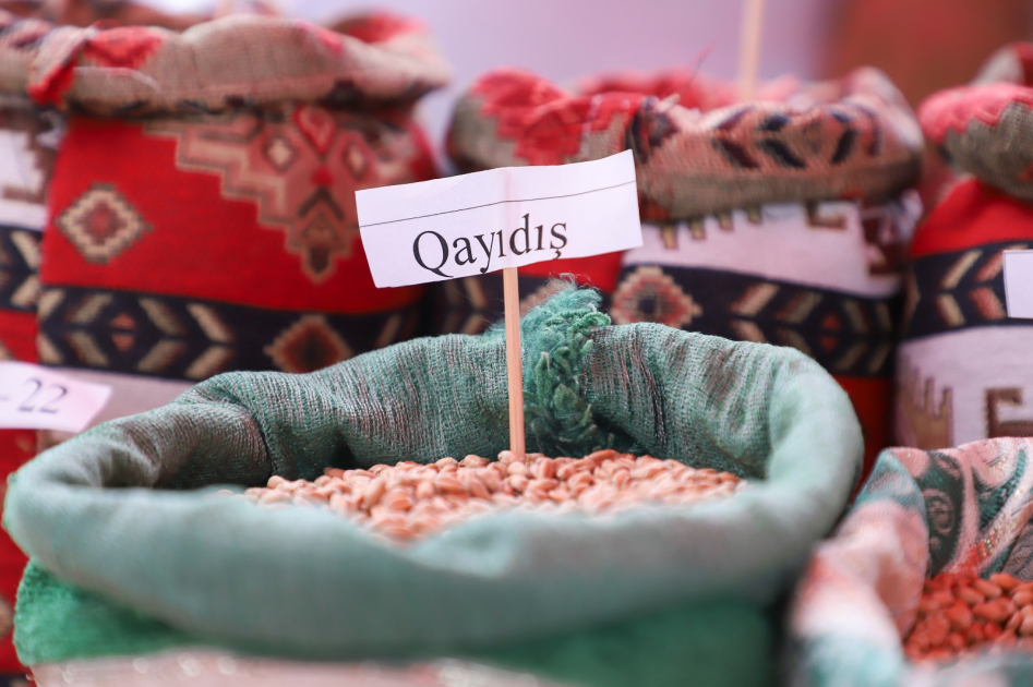 Gədəbəydə Aqrar Biznes Festivalı keçirilib - FOTO