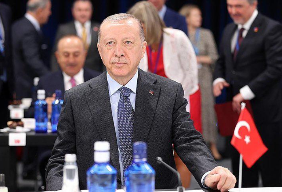 Ərdoğan Fransanın Ermənistanı silahlandırmasına münasibət bildirdi