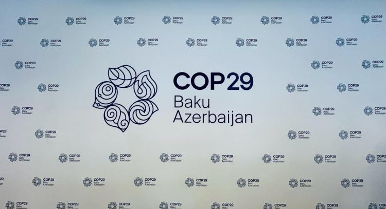 BMT-nin “təmiz enerji” layihələri COP29-da həyata keçiriləcək