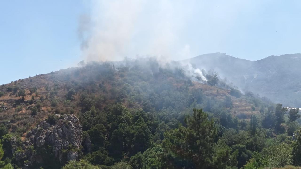 Türkiyədə meşə yanğını zamanı üç nəfər ölüb 