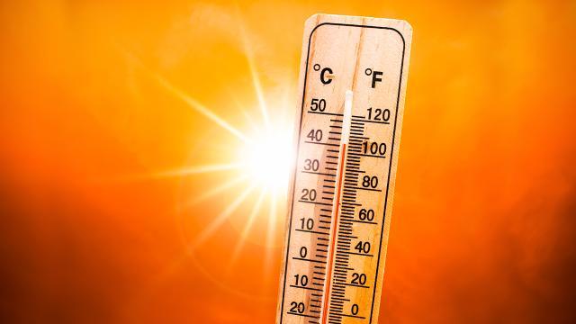 Bəzi rayonlarda 36 dərəcə isti var - FAKTİKİ HAVA