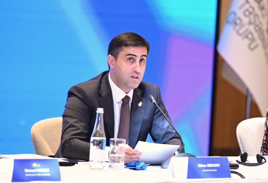 Bakı Təşəbbüs Qrupu heç bir ölkənin daxili işlərinə qarışmır