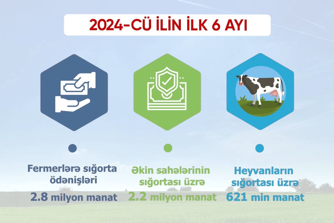 Fermerlərə sığorta ödənişləri 3 dəfə artıb