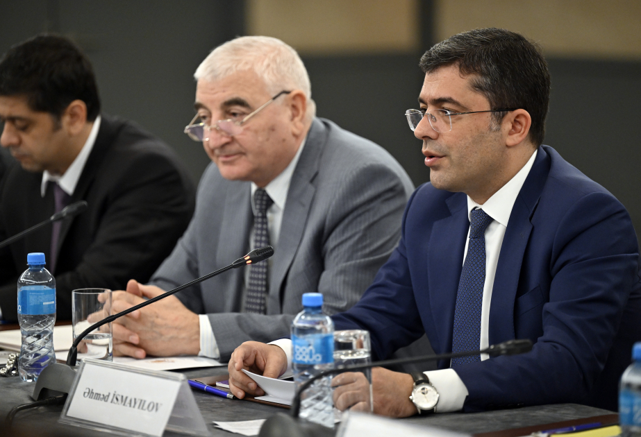 "Seçkilər zamanı ölkəmizin informasiya mühitinə kənardan təhdidlər artır"