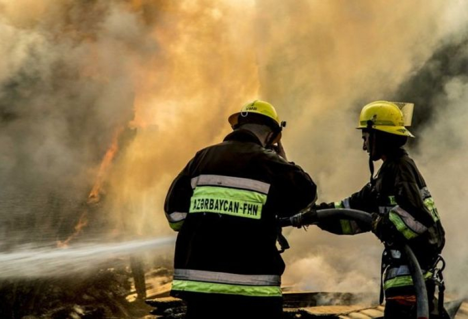 6 ayda 36 partlayış olub, 22 nəfər ölüb