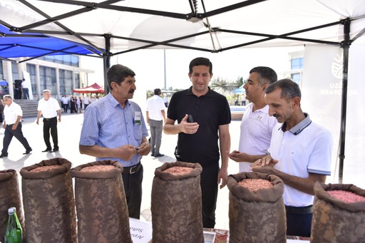 Rayonlarda növbəti toxum sərgi-satış yarmarkaları keçirilib