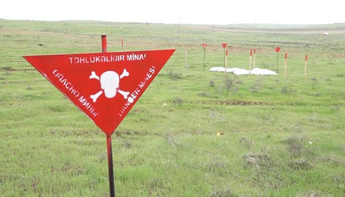 Avqustda azad edilmiş ərazilərdə 772 mina zərərsizləşdirilib