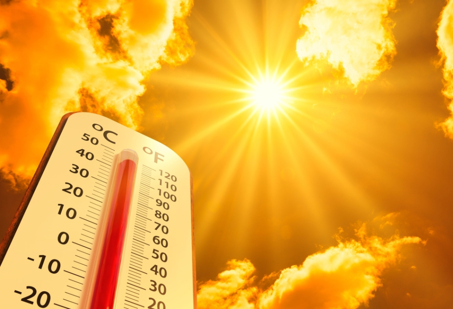 2024-cü ilin yayı ən isti mövsüm olub