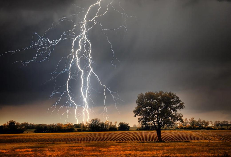 İldırım vurması nəticəsində 7 nəfər öldü