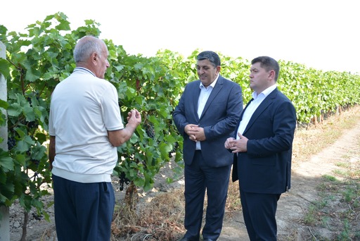 İlham Süleymanov Ağstafada vətəndaşlarla görüşdü, təsərrüfatlara baş çəkdi