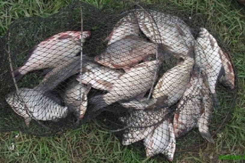 Balıq ovu ilə məşğul olanların nəzərinə!