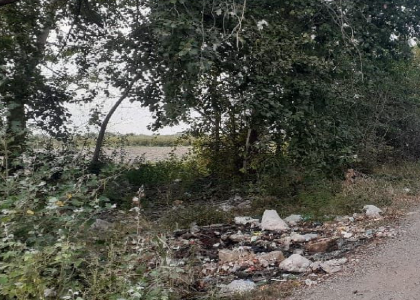 Qubada bələdiyyə sədri CƏRİMƏLƏNDİ