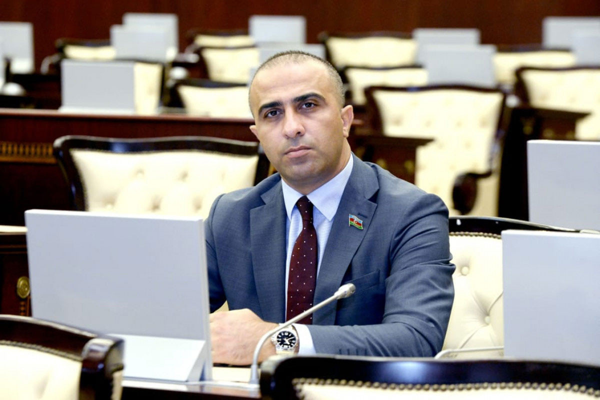 "Azərbaycan mediasının peşəkarlığını heç kim sual altına qoya bilməz, lakin..." - Deputat