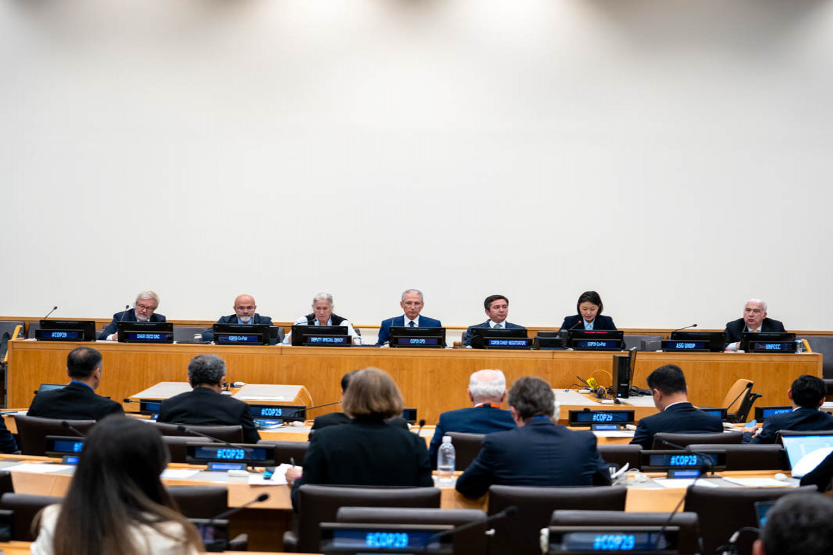 COP29: Nyu-Yorkda İqlim Şəffaflığı üzrə Forum keçirilib - FOTO