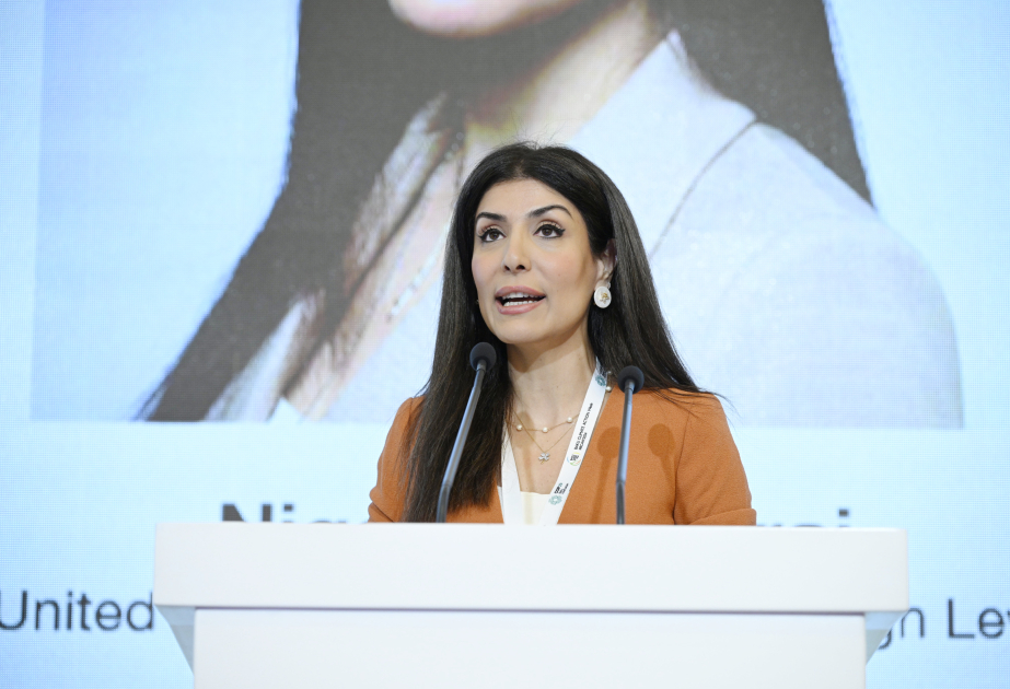 "İqlim məsələlərinin öhdəsindən təkbaşına gələ bilmərik" 