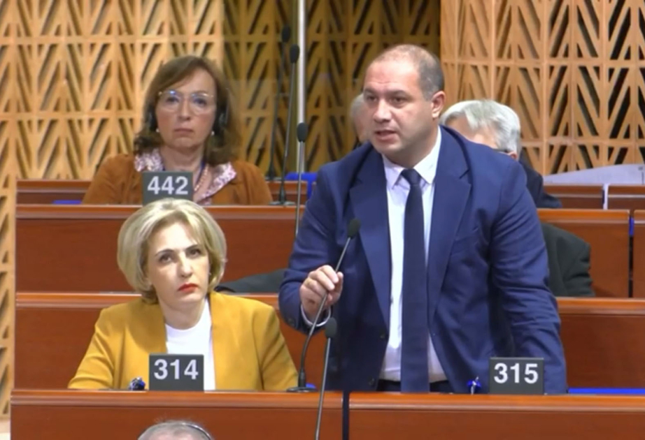 Gürcü deputat AŞPA-da Azərbaycanla bağlı çağırış etdi