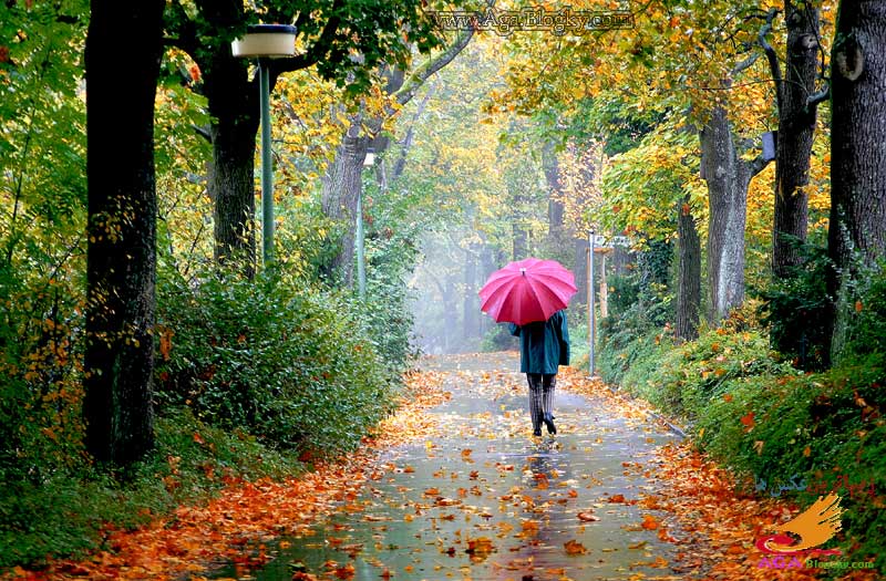 Payız depressiyası cinsi fəaliyyətə mənfi təsir göstərir