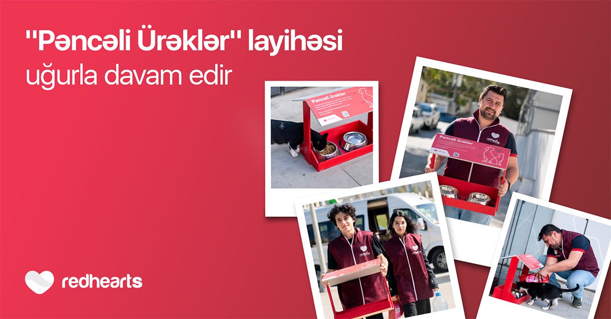 Qırmızı Ürəklər Fondu hər kəsə sahibsiz heyvanlara dəstək olmaq imkanı yaradır