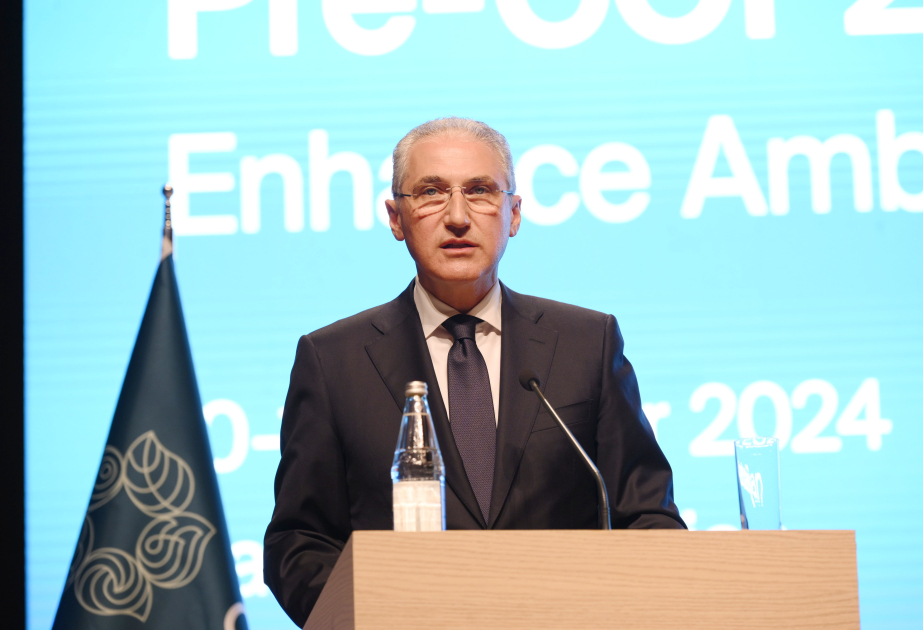 COP29 çərçivəsində İnsan İnkişafı Günü keçiriləcək