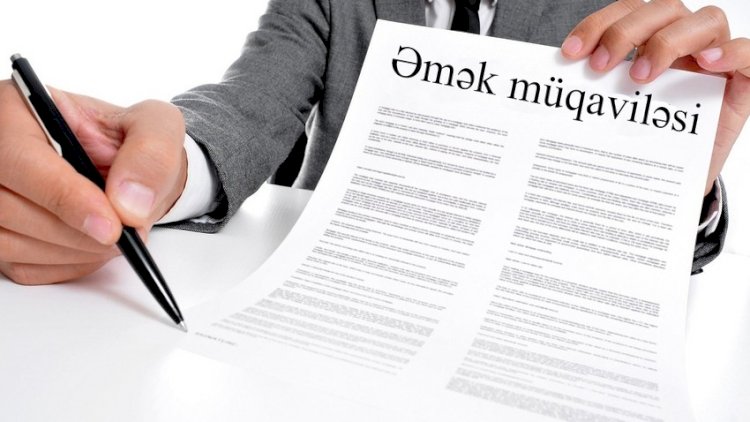 Əmək müqavilələrinin sayı AÇIQLANDI