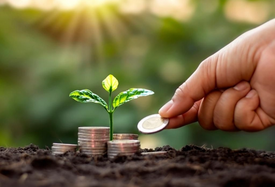 COP29 Azərbaycanda yaşıl iqtisadiyyatın inkişafına təkan verəcək