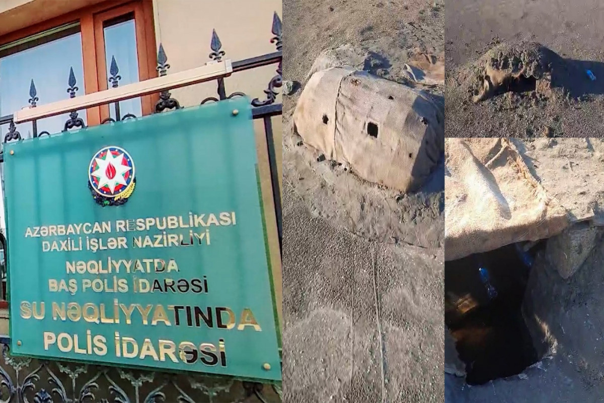 Polis əməliyyat keçirdi: Qafqaz şahinlərini ovlayan əcnəbi tutuldu - VİDEO