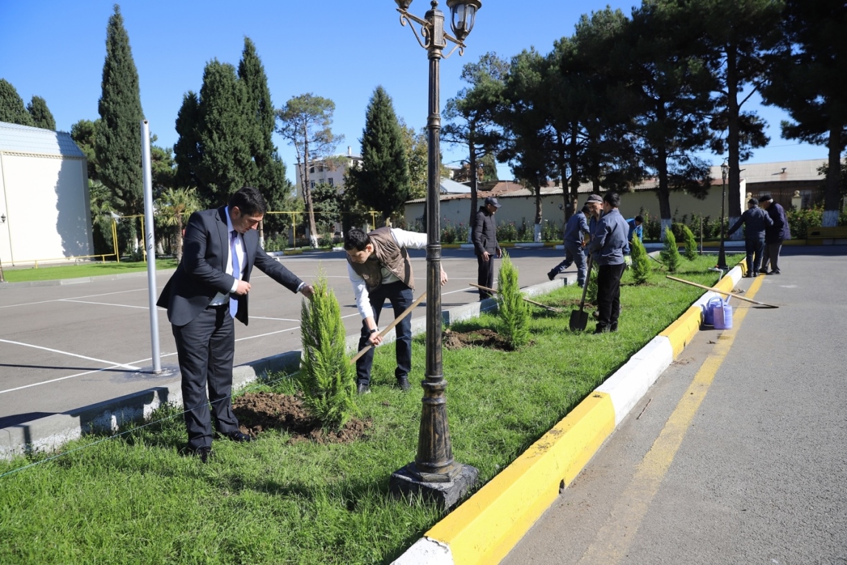 GDU tələbələri ağacəkmə aksiyasında - FOTO