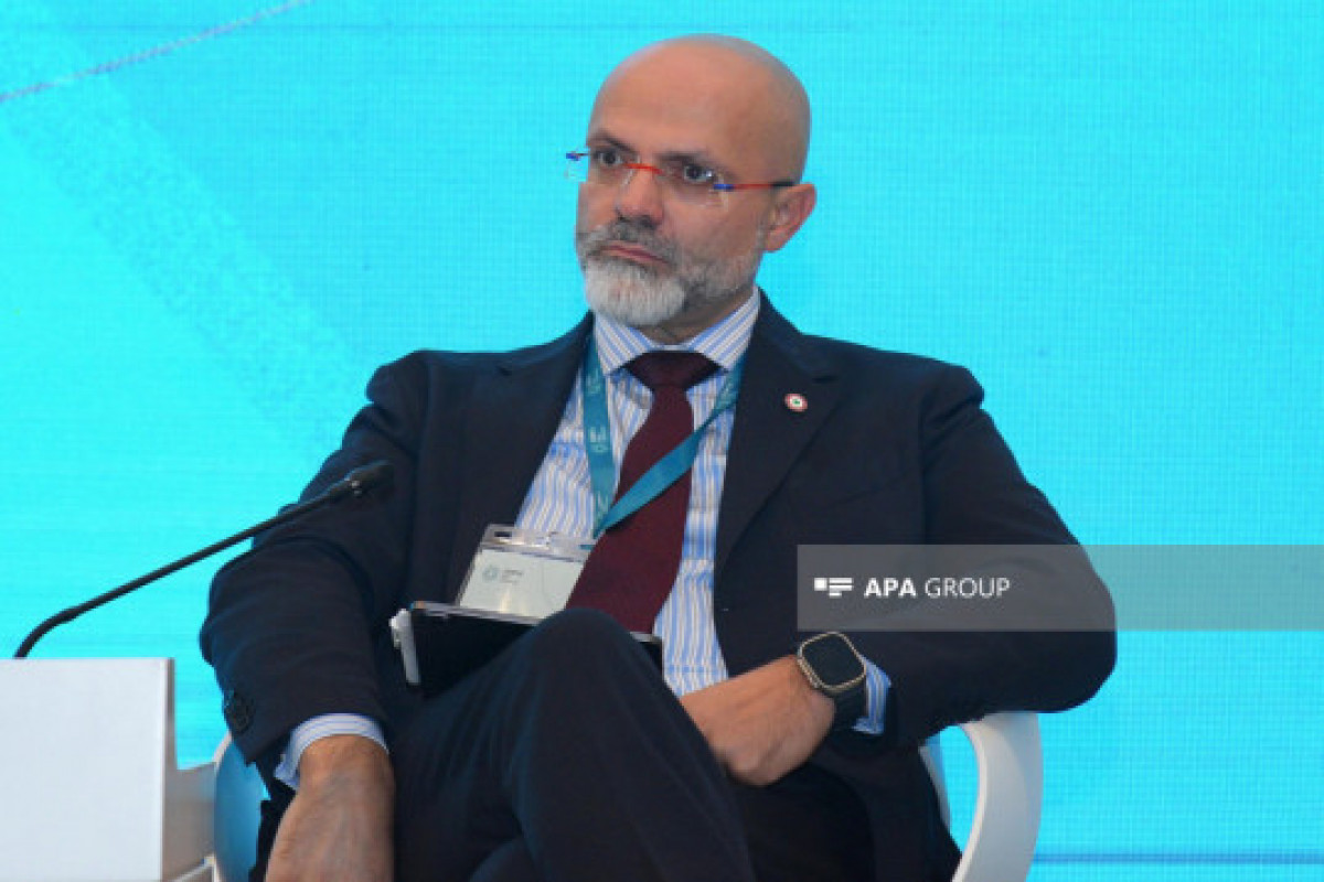 İqlim maliyyəsi fondunun vəsait həcmi müzakirə ediləcək - Səfir
