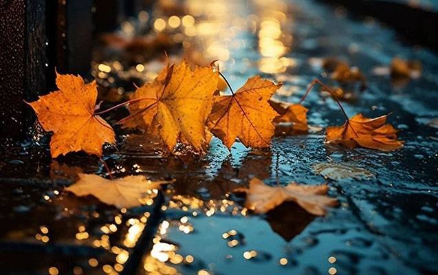COP29-un üçüncü günündə hava arabir yağıntılı olacaq