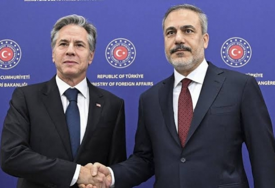 Fidan Blinkenlə Cənubi Qafqazı müzakirə etdi 