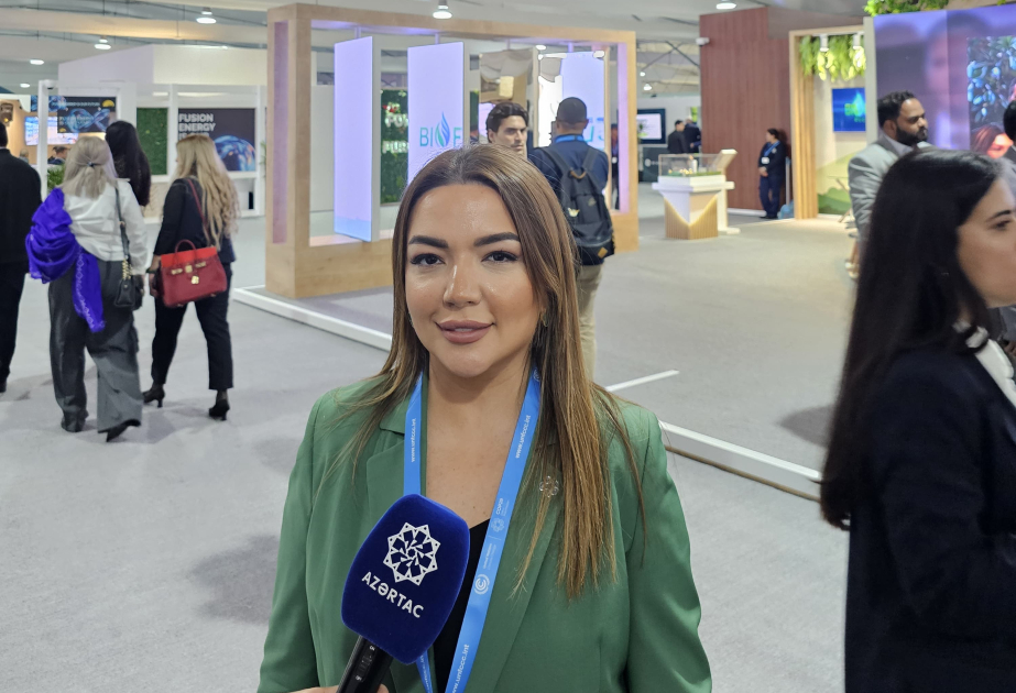 COP29-a görə 10 minə yaxın QHT nümayəndəsi ölkəmizə gələcək