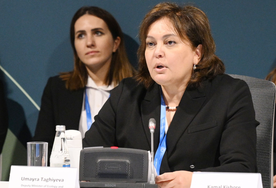 Azərbaycanda istilik dalğaları artıb - Umayra Tağıyeva