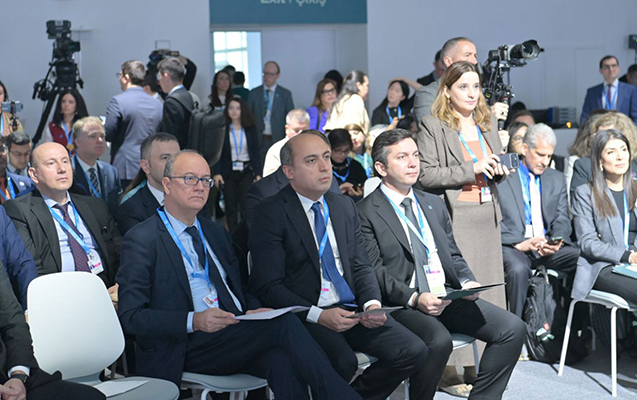 COP29 çərçivəsində yüksəksəviyyəli birgə iclas - FOTOLAR